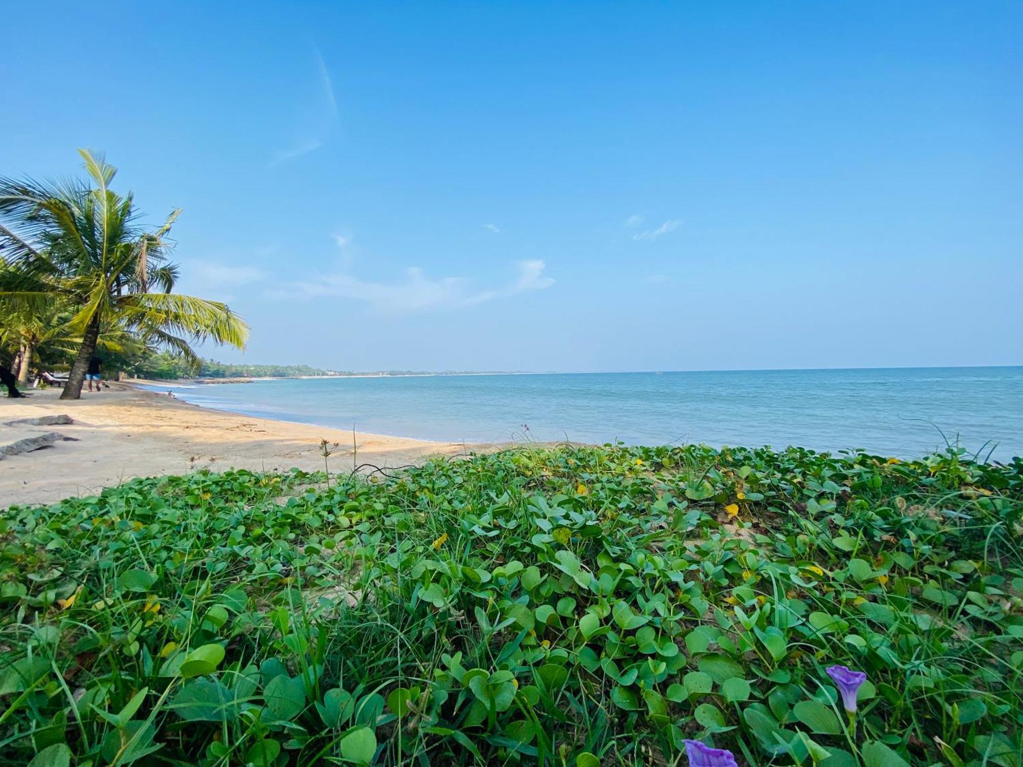 Thaprobana Villa Tangalle - Private Villa Zewnętrze zdjęcie